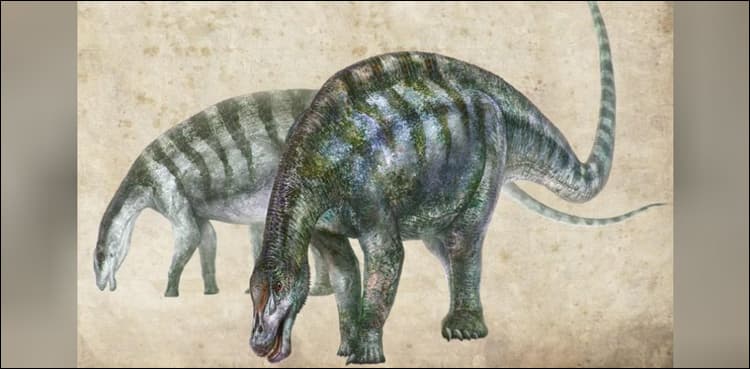 'Amazing dragon' fossils rewrite history of long-necked dinosaurs