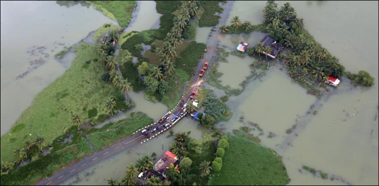 Indian state battles 'rat fever' outbreak after worst floods in a century