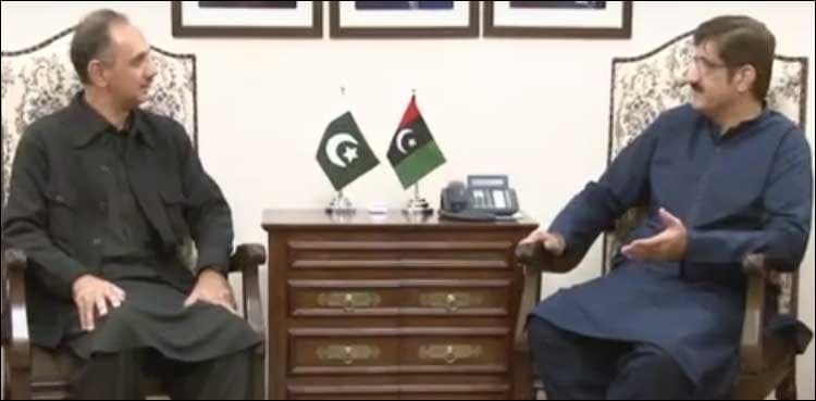 Petroleum, Energy Ministers meet CM over Sindh's gas, power woes