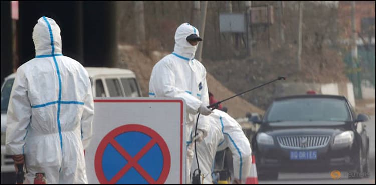 African swine fever hits huge, foreign-invested Chinese farm