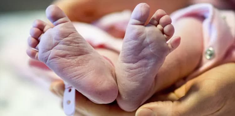 First baby born via uterus transplanted from dead donor