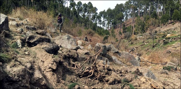Pakistan to lodge UN complaint against India for 'eco-terrorism' forest bombing