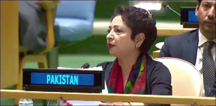 Lodhi outlines current challenges to UN peacekeeping
