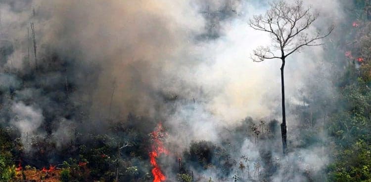 Agents raid illegal miners in Amazon as environmental enforcement ratchets up