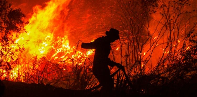 Two-thirds of tropical rainforest destroyed or degraded globally