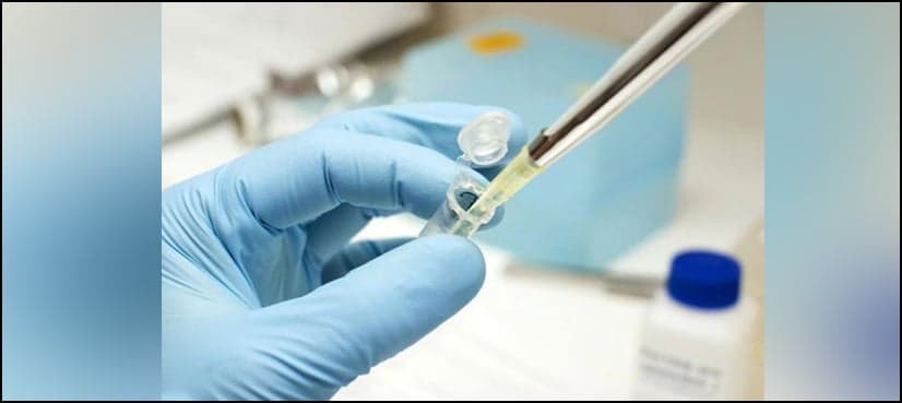 Sindh records 229 dengue fever cases in October