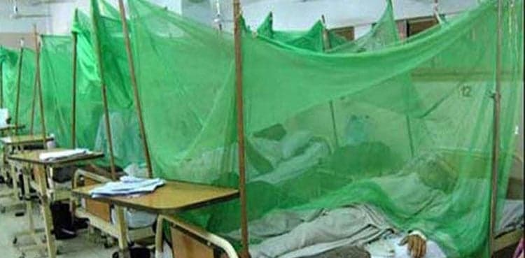 Punjab reports 459 dengue cases, one death in 24 hours