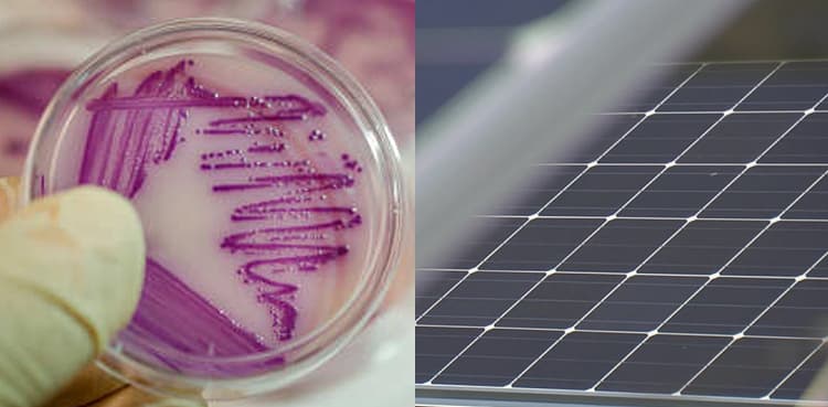 Scientists say solar technology may detect, attack cancer cells