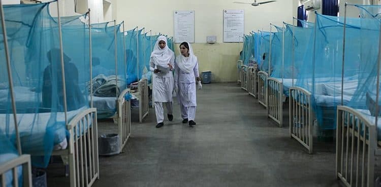 Dengue Fever claims 21 lives in Punjab this year: health secretary