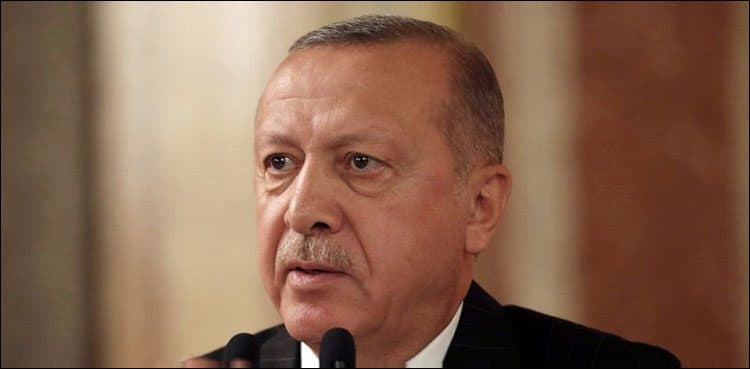 Erdogan calls on Europe to support Turkey's moves in Libya: Politico