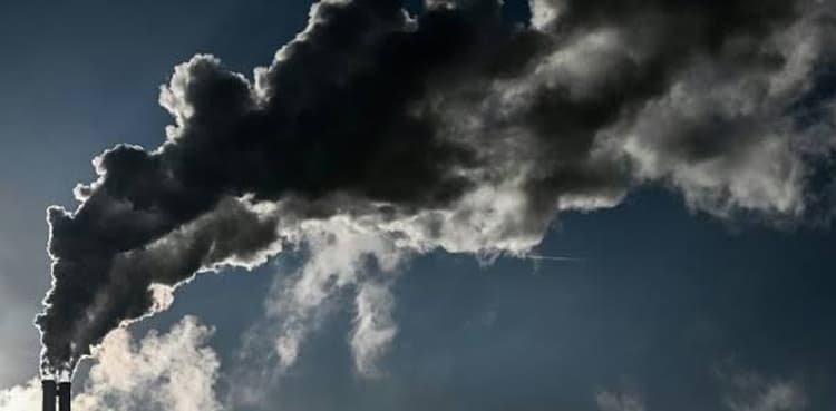 New Zealand makes 'zero carbon' target law