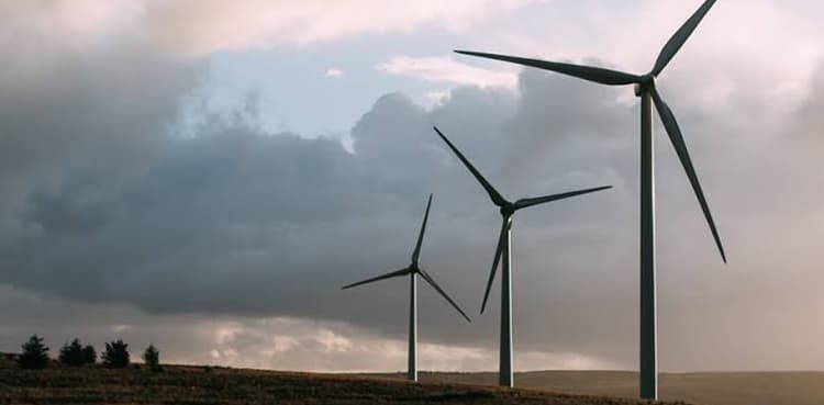 Four offshore farms planned to double Denmark's wind power