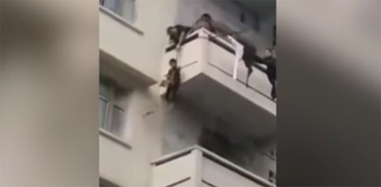 WATCH: Grandmother risks minor's life for rescuing trapped cat