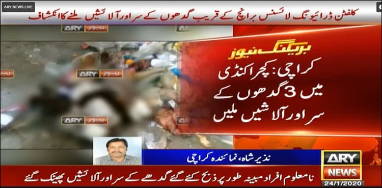 Donkeys' offal found near Clifton Driving License Branch in Karachi