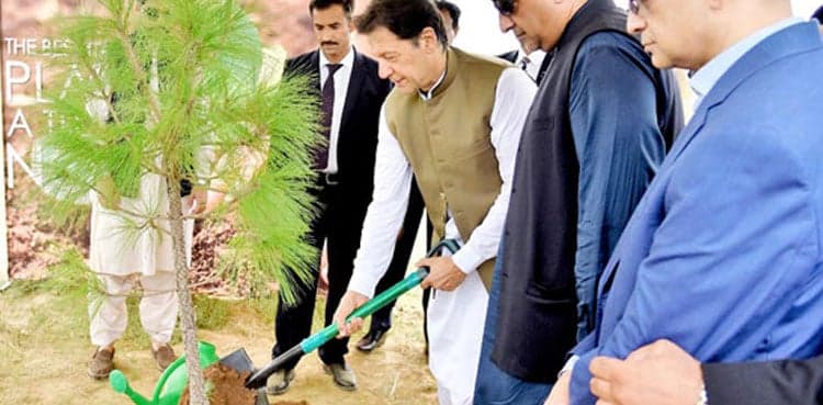 PM Imran Khan directs tree plantation in empty spaces during monsoon drive 