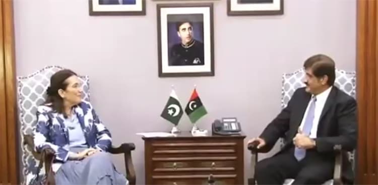 EU eyes cooperation with Sindh govt in renewable energy sector