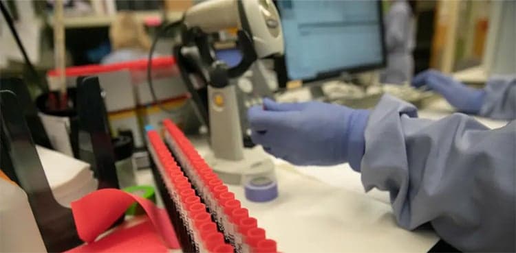 Australian scientists begin pre-clinical testing for coronavirus vaccine