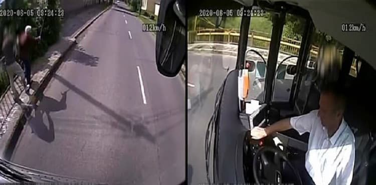 Bus driver pulls over to make heroic save, chases off mugger trying to rob old lady