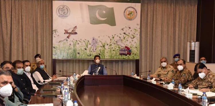 Will leave no stone unturned: PM approves Phase-II of NAP for Locust Control
