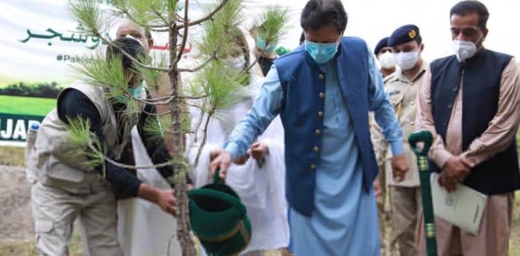 PM wants everyone to participate in tree plantation drive tomorrow