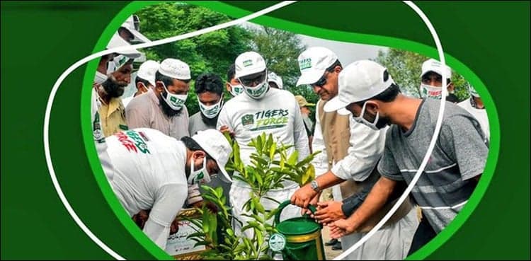 'Tiger force to plant ten billion saplings in country under tree plantation drive'