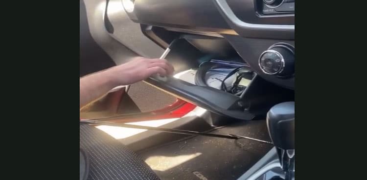 WATCH: Woman discovers venomous snake in glove compartment