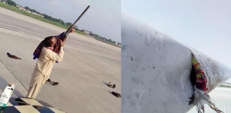 Bird strike incidents: CAA to deploy bird shooters near airports