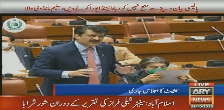 Shahzad Waseem accuses opposition of pushing Indian narrative