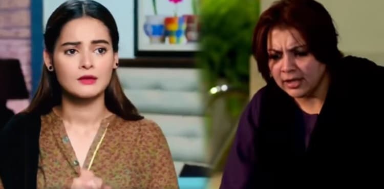 WATCH: Gohar goes mad as massively successful play 'Nand' reaches its climax
