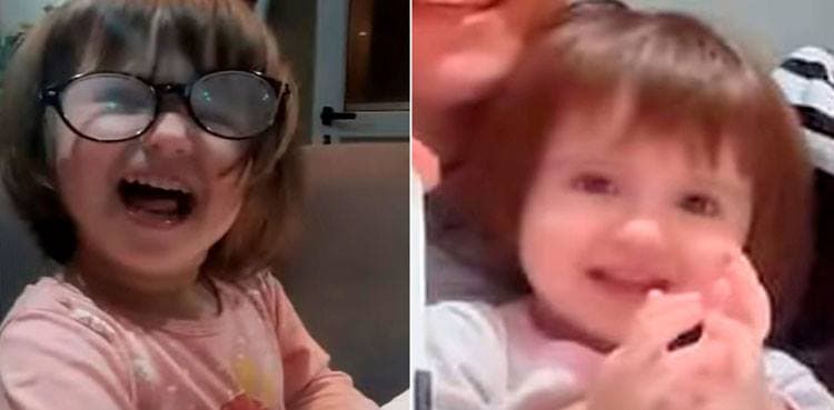 Toddler killed by pet dog