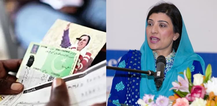 AC decides to indict Farzana Raja, others in BISP corruption reference
