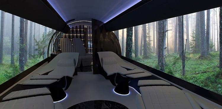 Will OLED screens replace plane windows in future?