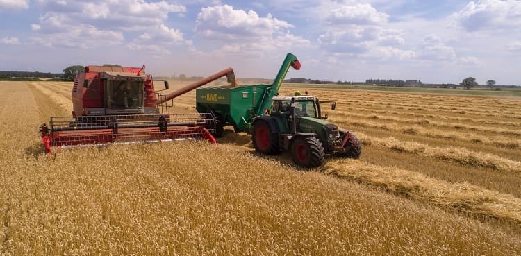 Agricultural Sector Of Pakistan