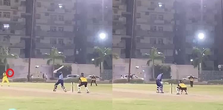 WATCH: Bowler hit after batsman strikes ball straight at his head