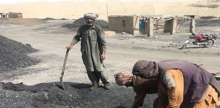 Labour Day: Punjab raises minimum wage to Rs20,000