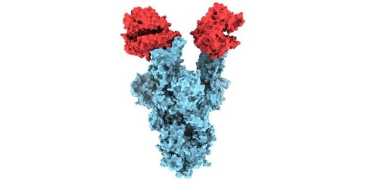 Researchers capture first-ever image of new COVID-19 mutant