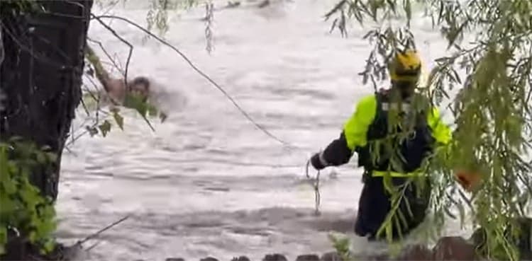 WATCH: Woman rescued after getting stuck in middle of flood stream