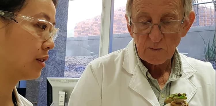 Frog whisperer: Scientist speaks to frogs, fears their silence