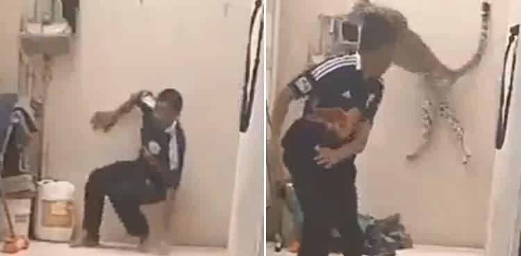 WATCH: Terrifying video shows leopard chasing a man in corridor