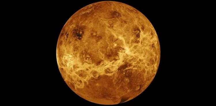 Lack of water rules out life on Venus: study