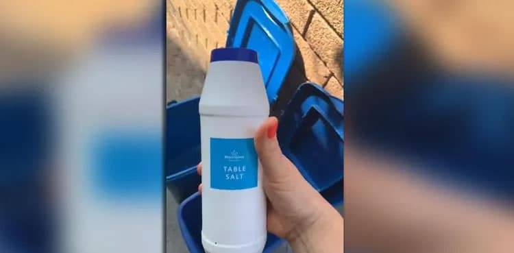Hack video that blocks waste bin flies gathers five million views