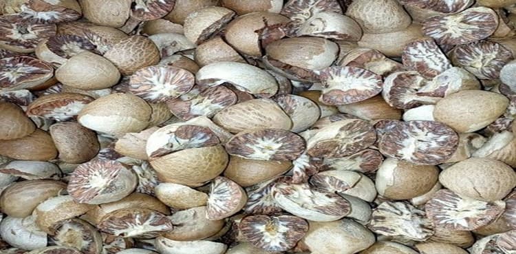 Pakistan endorses betel nut import reforms