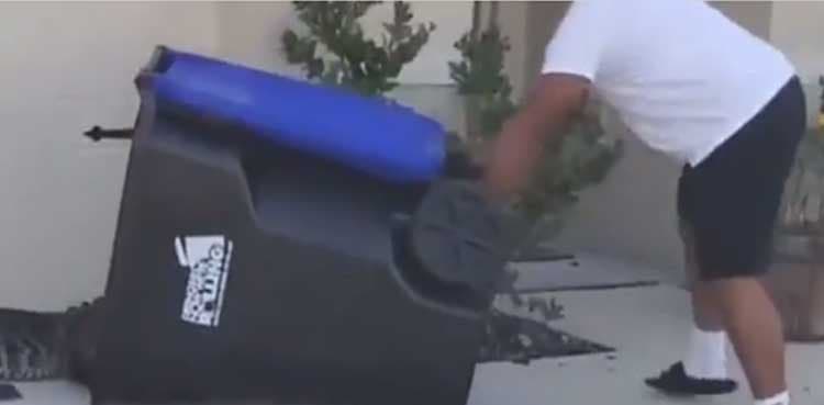 Man uses trash can to catch alligator, video goes viral
