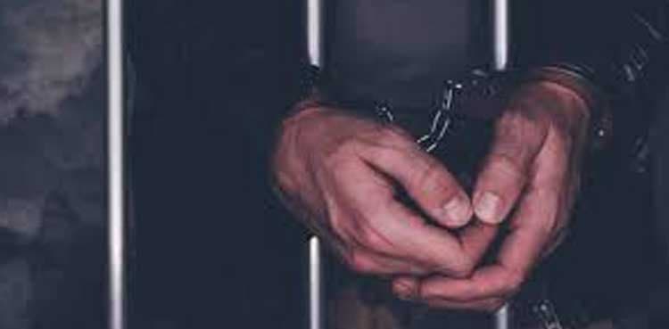 Two arrested, booked over Nawaz Sharif's fake COVID vaccination entry