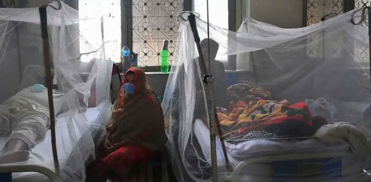 142 new dengue cases surface in KP
