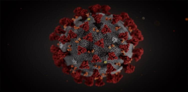 Vaccination 'even more urgent' with new Covid variant, Umar stresses