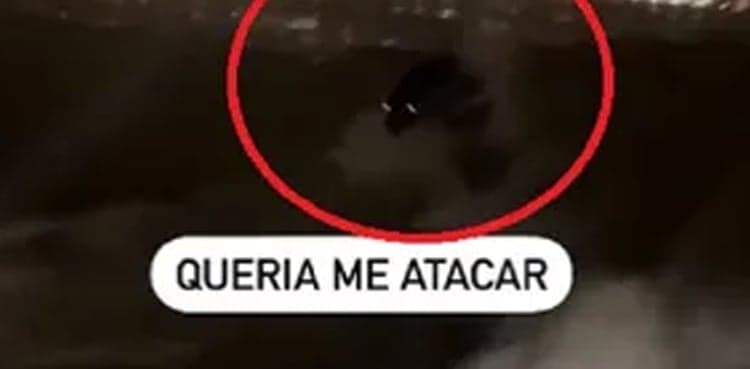 VIRAL but SCARY: Mysterious sea creature chases fisherman