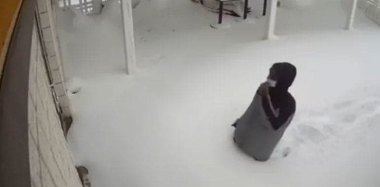 Viral video: Man drops to knees seeing restaurant closed during snowstorm
