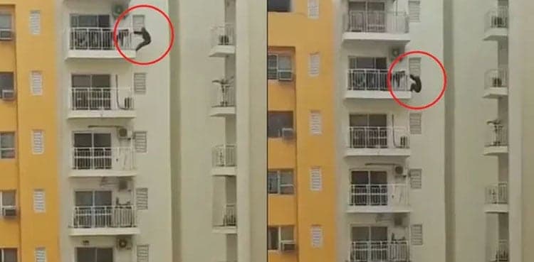 Scary video: Man puts life at risk for workout