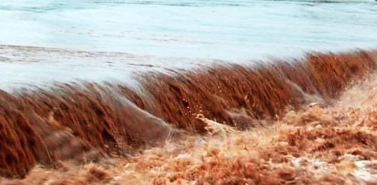 Two districts of KP declared as calamity-hit